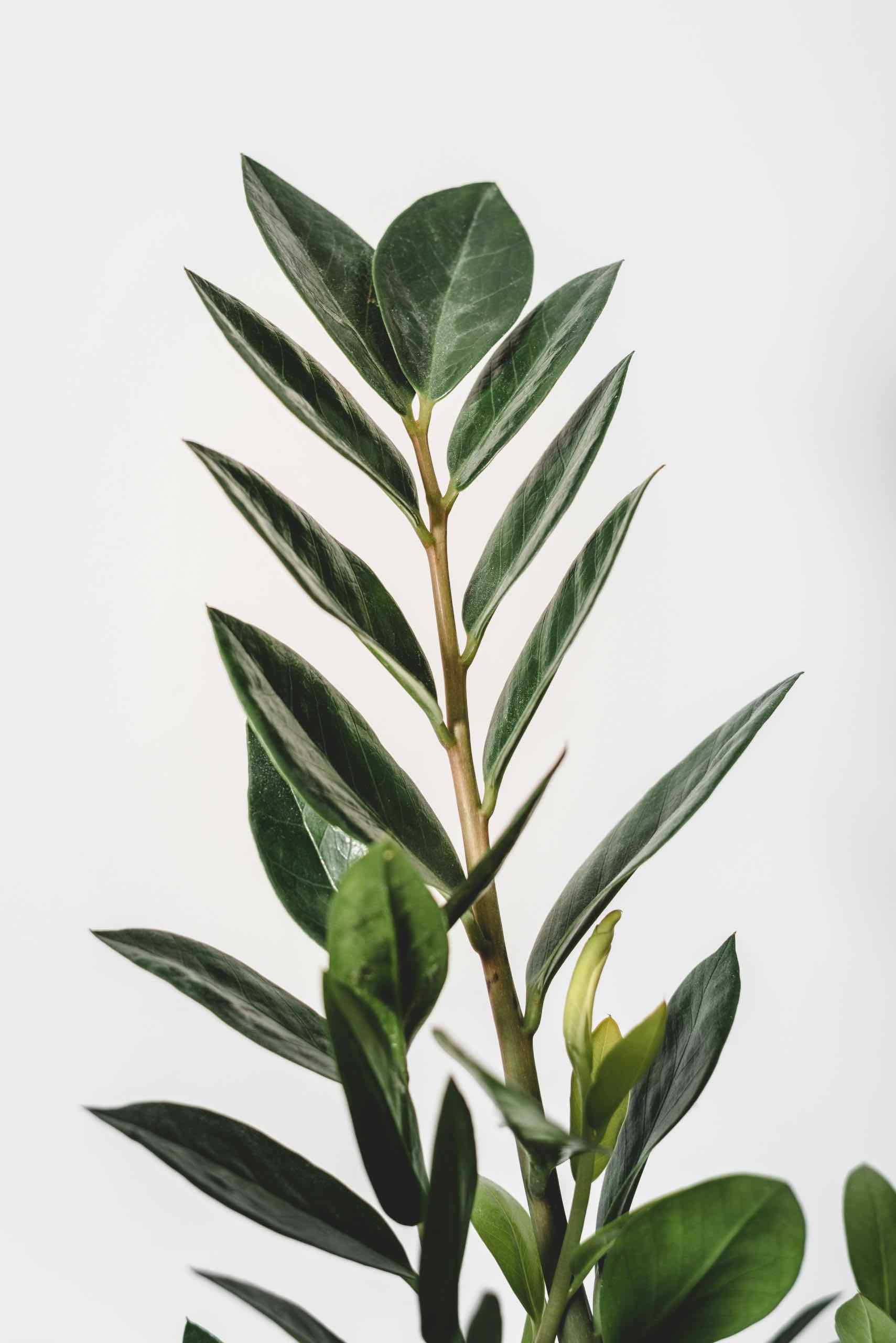 Frog Point Therapy Team | Salt Lake City